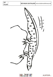 Semender boyama sayfaları